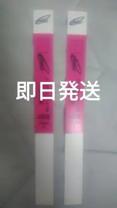 C106 コミケ106 午前入場　リストバンド　2日目　2枚組