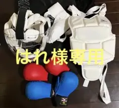 ミズノ空手防具セットサイズM収納袋付