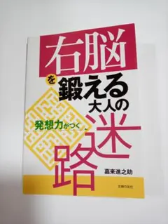 右脳を鍛える大人の迷路 : 発想力がつく