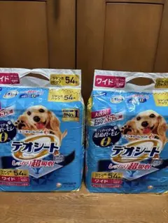 Item thumbnail for item 03e0589f-9105-4274-83cb-6e2e6b539011