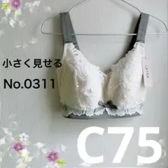 0311C75モスグレイ 小さく見せるブラ フルカップブラジャー