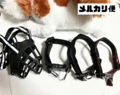 Item thumbnail for item 6158a528-71d4-44e8-890c-3b5a986049c7