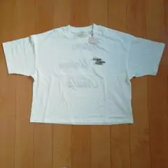 Item thumbnail for item a31e07e1-d9d2-4c22-9a73-48e67c4e70df