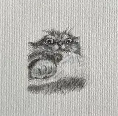 猫の鉛筆画（黒・白フレーム付き）nan-261
