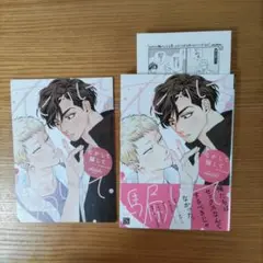 化かして騙して　アニメイト4pリーフレットつき
