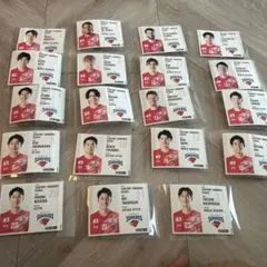SUNBIRDS サントリー選手シールフルコンプ