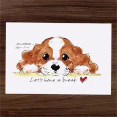 イラスト 原画 ポストカード 絵 【キャバリア】32
