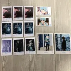 ころんくん フォトカード 実写 まとめ売り