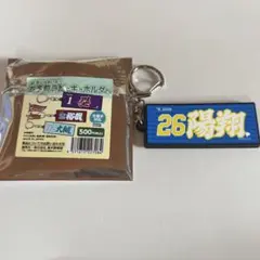 楽天イーグルス 中込