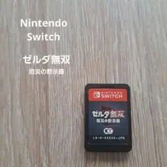ゼルダ無双 厄災の黙示録 Nintendo Switch