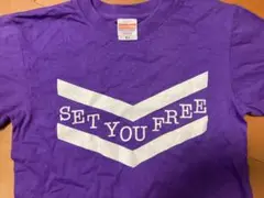 SET YOU FREE　Ｔシャツ　パープル　紫　Sサイズ　極美品