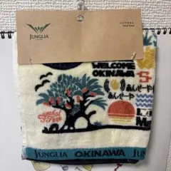 Item thumbnail for item 57bd21ef-6498-4954-b9c3-800998f2d117