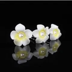 Item thumbnail for item b2405c82-3a9d-4b39-a661-5d4d9e488cae