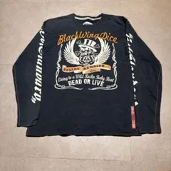 Bike バイク　ロンt 長袖tシャツ　髑髏　骸骨　刺繍　黒　ブラック　XL