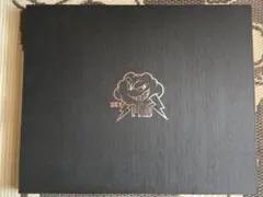 SkyPAD 3.0 XL
