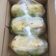 自家製白菜漬け3株