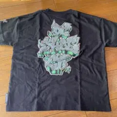 Item thumbnail for item b4d67d71-fa59-4a39-9c8b-174750047587