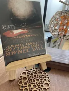 アヤビエ　彩冷える　エキュメニカル　 DVD V系　ヴィジュアル系　廃盤