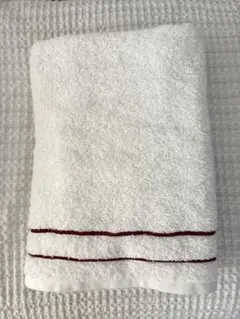 Item thumbnail for item 07ee2d1c-7fd9-4179-9787-47e8847e874a