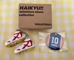 ハイキュー　ミニチュアシューズコレクション　日向