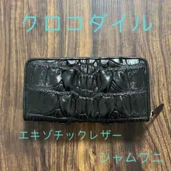 Item thumbnail for item 9a7ab7a8-d640-46fd-807b-0417bcfde39e