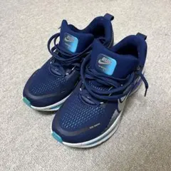 Item thumbnail for item 6abaaf0f-3741-421d-bfe0-d084818962ab