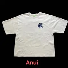 週末限定❗️Anui オフホワイトTシャツ　ユニセックス 春夏秋向き