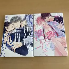 他人のフリして同僚に抱かれています おっきな愛で満たして