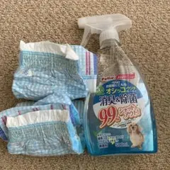 Item thumbnail for item 30bb1733-65f4-42bd-a270-24d84ad91c94