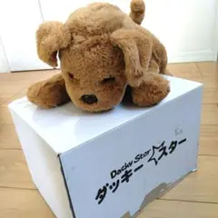 【新品・未使用】ダッキースター　箱付き 2025年最新】ダッキースターの人気アイテム - メルカリ
