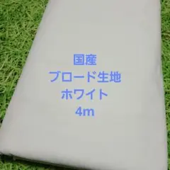 Item thumbnail for item 770a6697-b85a-43da-a1b7-8ff5024ab97a