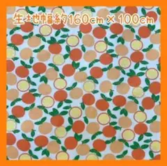 オレンジ柄生地 生地幅約160cm×100cm コットンツイルプリント生地