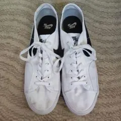 NIKE　SB 　US11 29センチ