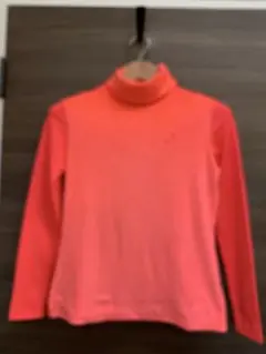 Item thumbnail for item 693cb48e-78e8-49fa-99e3-e956da37cad5