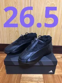 26.5 クレイジーインフィニティ