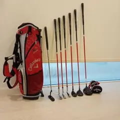 Item thumbnail for item c914d1a1-ca51-4acd-ae0b-1bc95bca005a