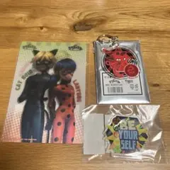 ミラキュラス チェンジングポストカード クワミ アクリルキーホルダー マグネット
