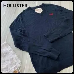 HOLLISTER ホリスター ネイビー セーター ワンポイント スクールコーデ
