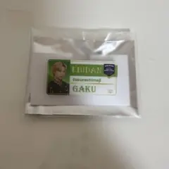 EBiDAN THE LIVE ネームバッチ Sakurasimeji 田中雅功