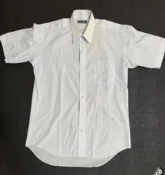 Item thumbnail for item 626b0e88-20ec-41a2-9bd9-42bfe893992a