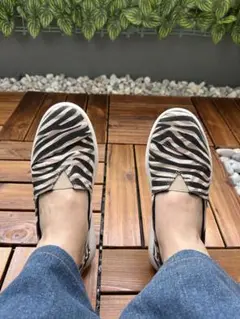TOMS トムス ゼブラ柄キャンバススリッポン23cm