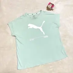 【美品】PUMA フレンチスリーブオーバーサイズTシャツ M