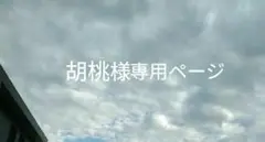 専用ページ