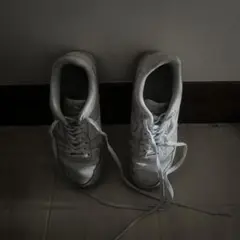 airforce1 nike