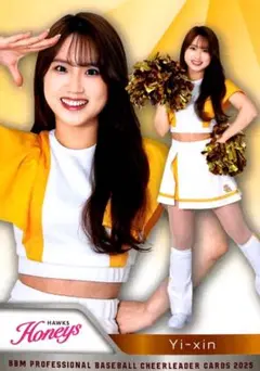 Item thumbnail for item d22b9f60-cbea-4a0b-9ca5-7eab6fba533e