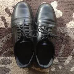 Item thumbnail for item 76d65c96-f477-409f-a6e7-73a51ce819c9