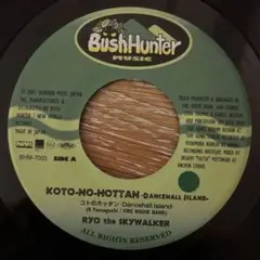 ジャパレゲ 7inchレコードryo the skywalker-コトのホッタン
