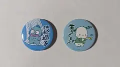 サンリオ 推しにときめく 缶バッジセット