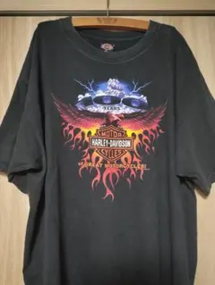 希少USA製ハーレー100周年記念 サンダーファイヤーTシャツ 2XL