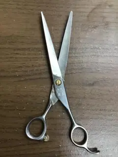 Item thumbnail for item d2968cb5-8d2f-405c-820d-2b1378cdb44c